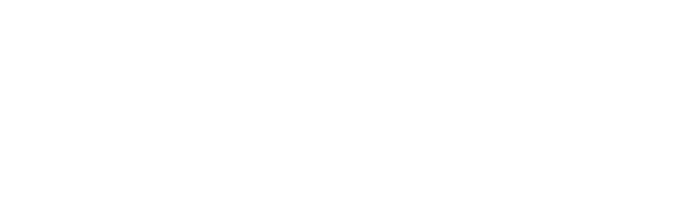 أوتو وايز -العمل بذكاء